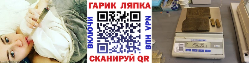 ГАШ Premium  Жуков 