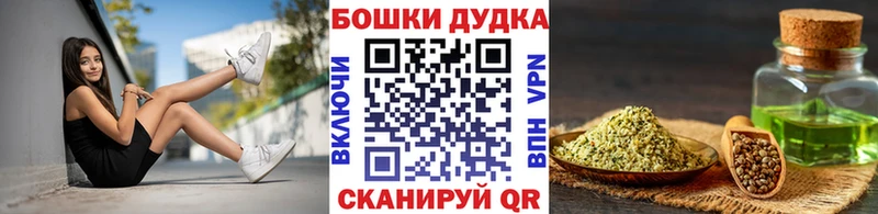 Бошки Шишки ГИДРОПОН Жуков